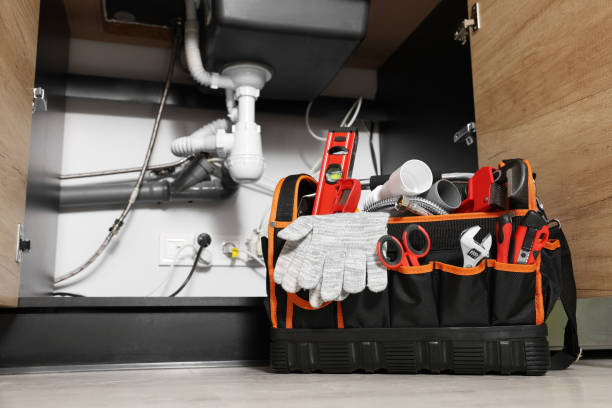 Best Plumbing Installation Services  in Ridgway, CO