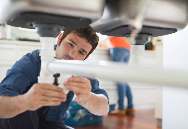 Best Toilet Repair Services  in Ridgway, CO
