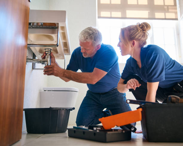 Best Local Plumber Services  in Ridgway, CO